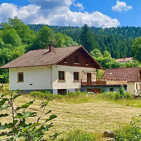 House Type Chalet - Sauna And Balneo - 14 Pers Gérardmer Exterior photo
